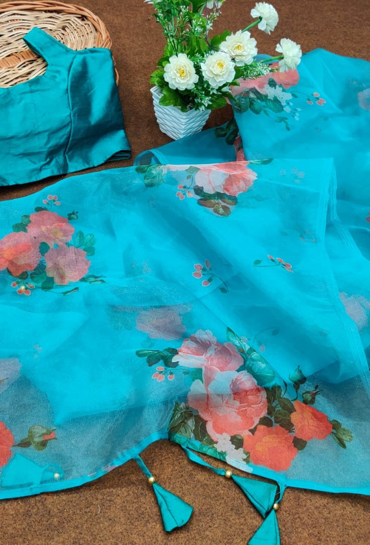 Sky blue soft organza floral printed work saree