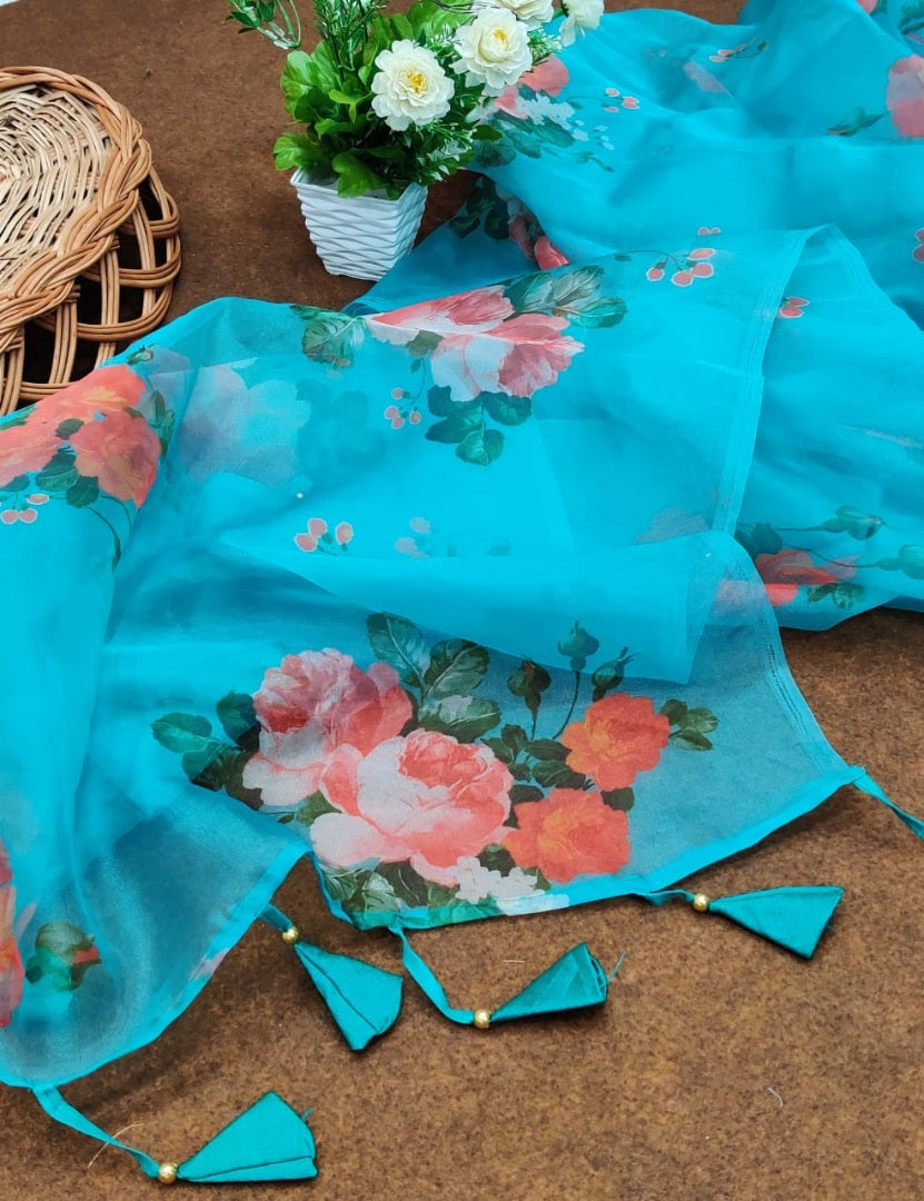 Sky blue soft organza floral printed work saree
