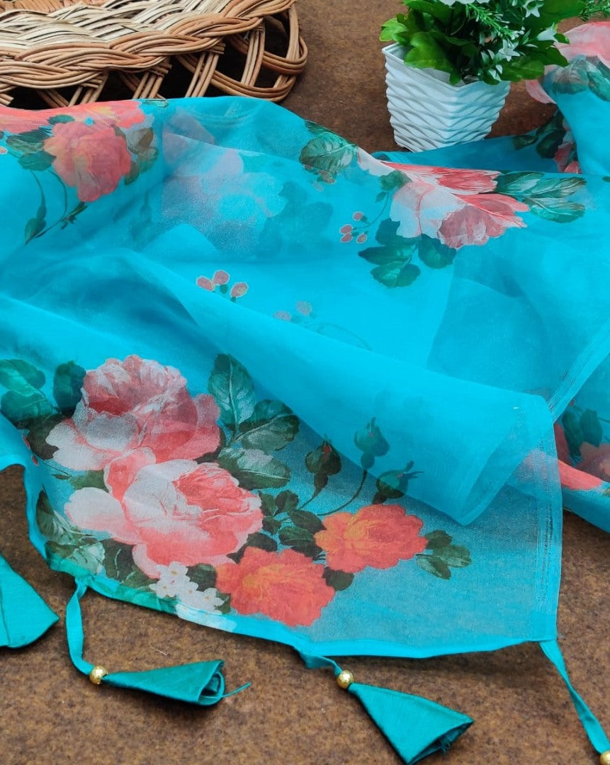 Sky blue soft organza floral printed work saree