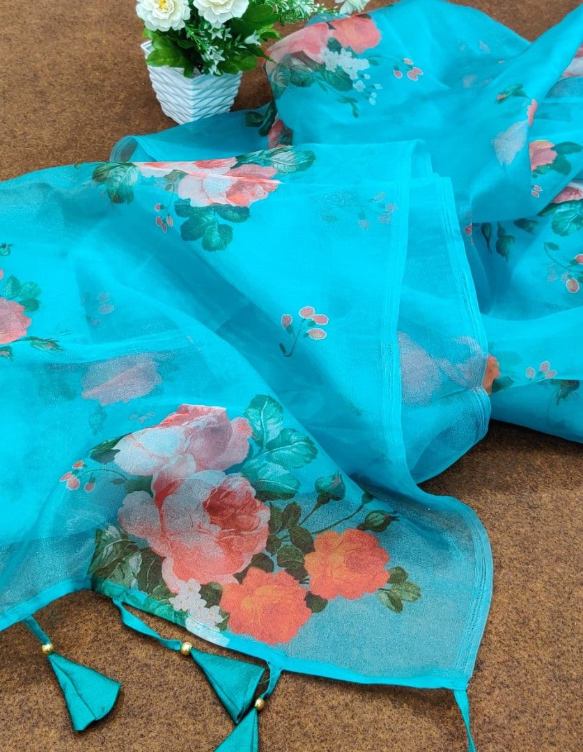 Sky blue soft organza floral printed work saree