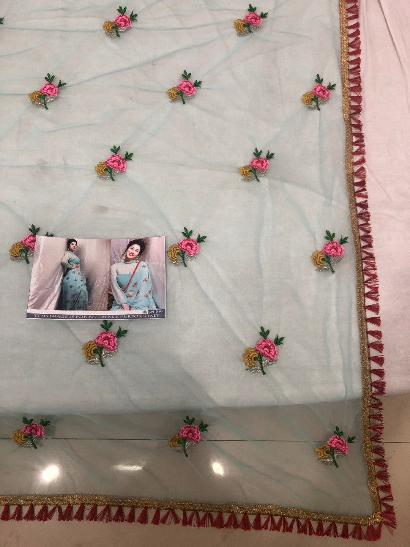 sky mono net beautiful embroidered saree