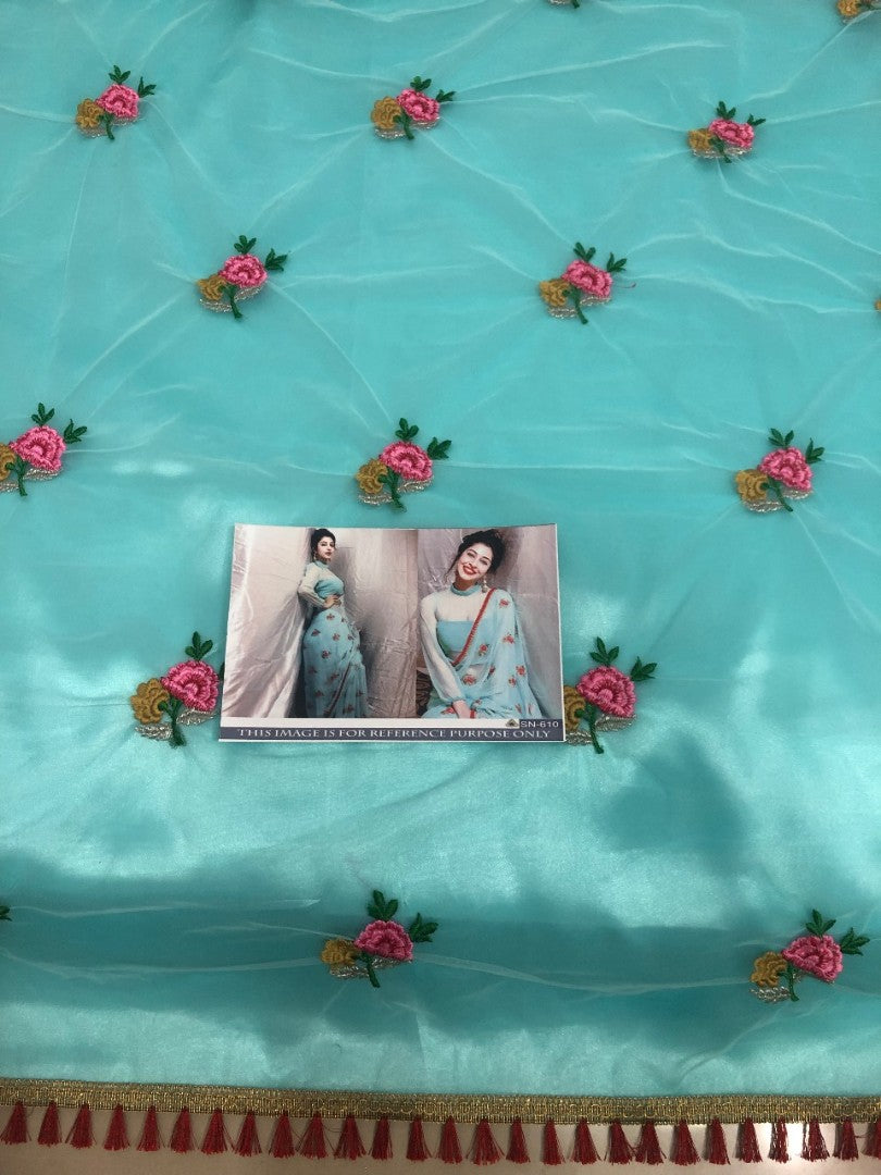 sky mono net beautiful embroidered saree