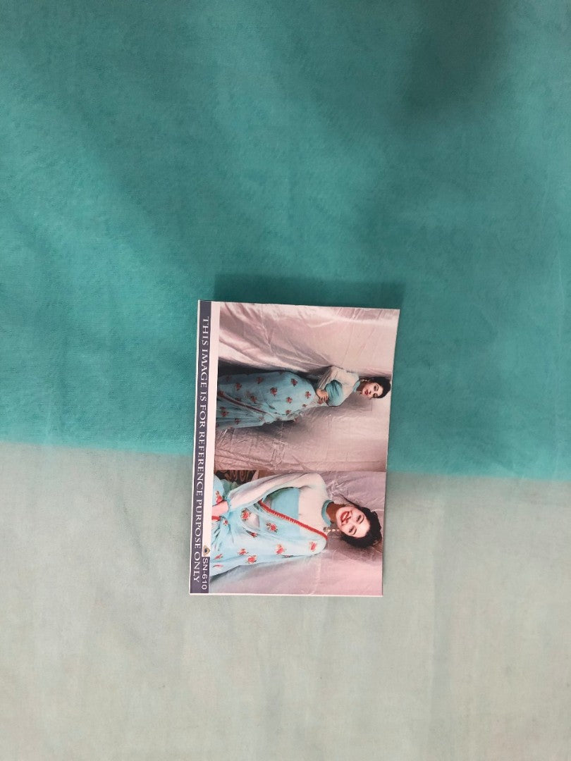 sky mono net beautiful embroidered saree